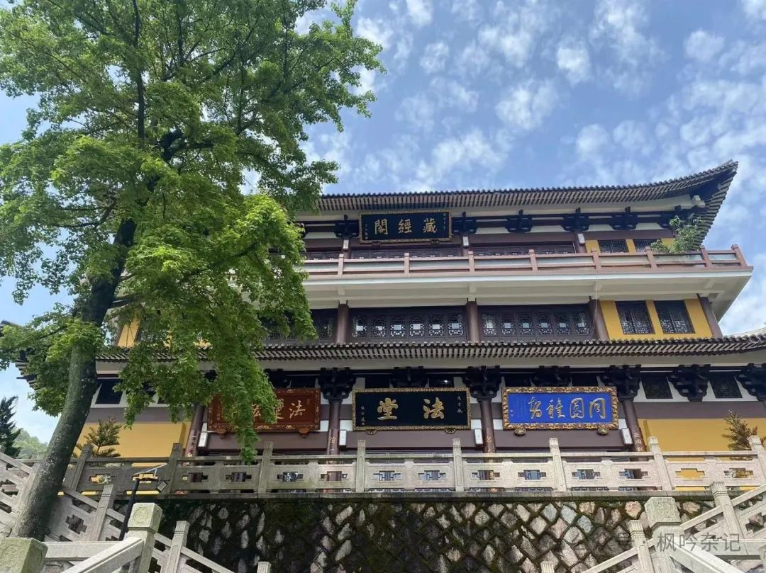 雁山草木：雁荡山能仁寺草木小记(图6)